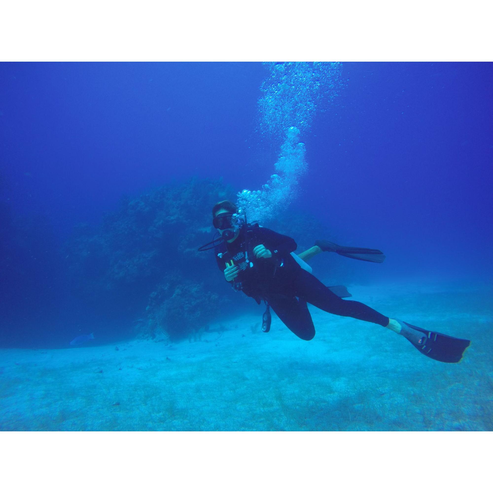 Diving in Belize