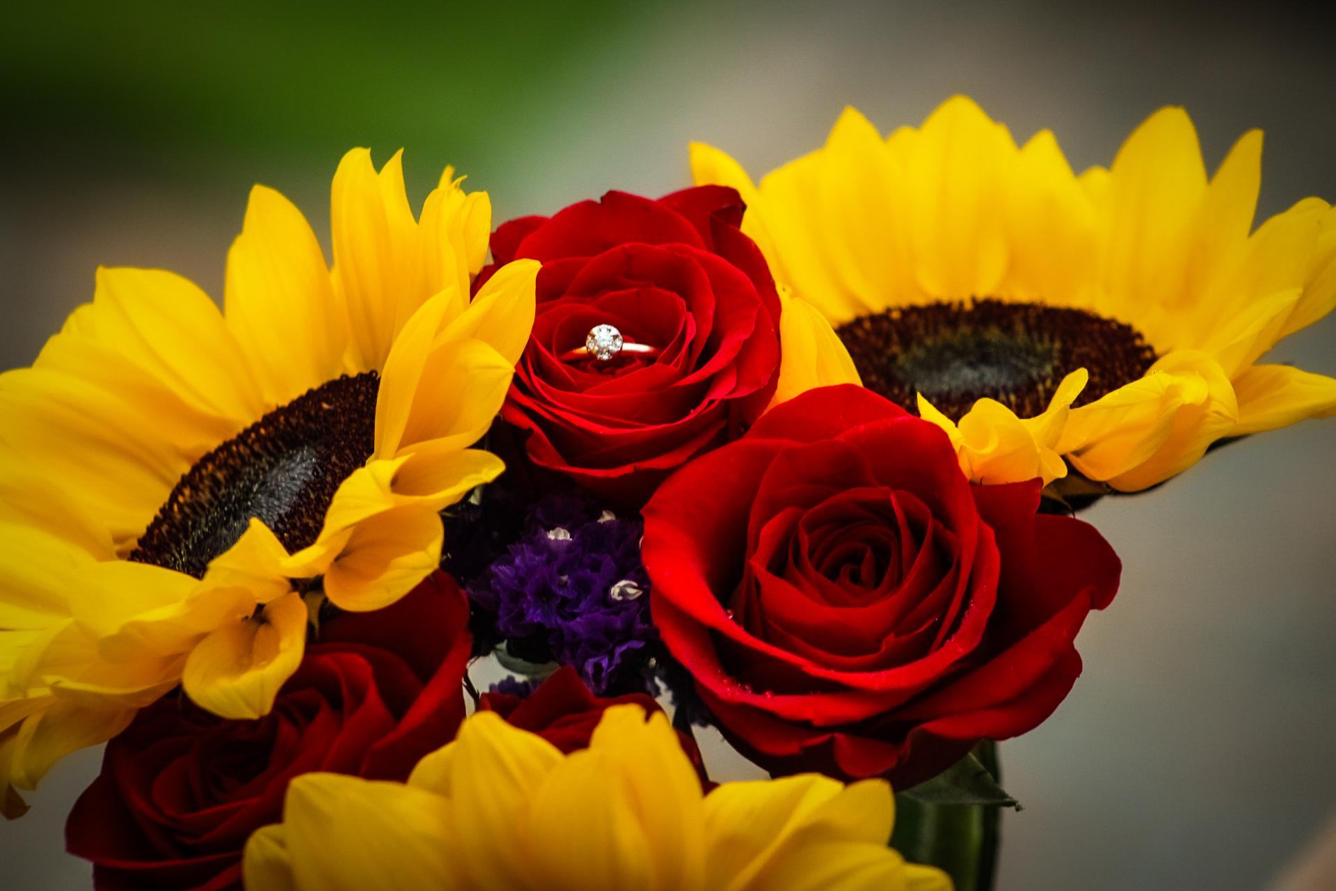 The Wedding Website of Kayla Condron and Jordan Olson