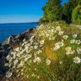 Discovery Park
