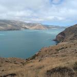 godley head walkway