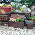 Antique Displays