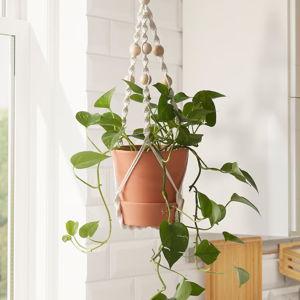 Macrame Plant Hanger