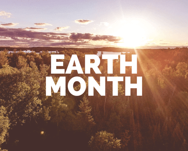 Plant Trees Where They're Needed Most