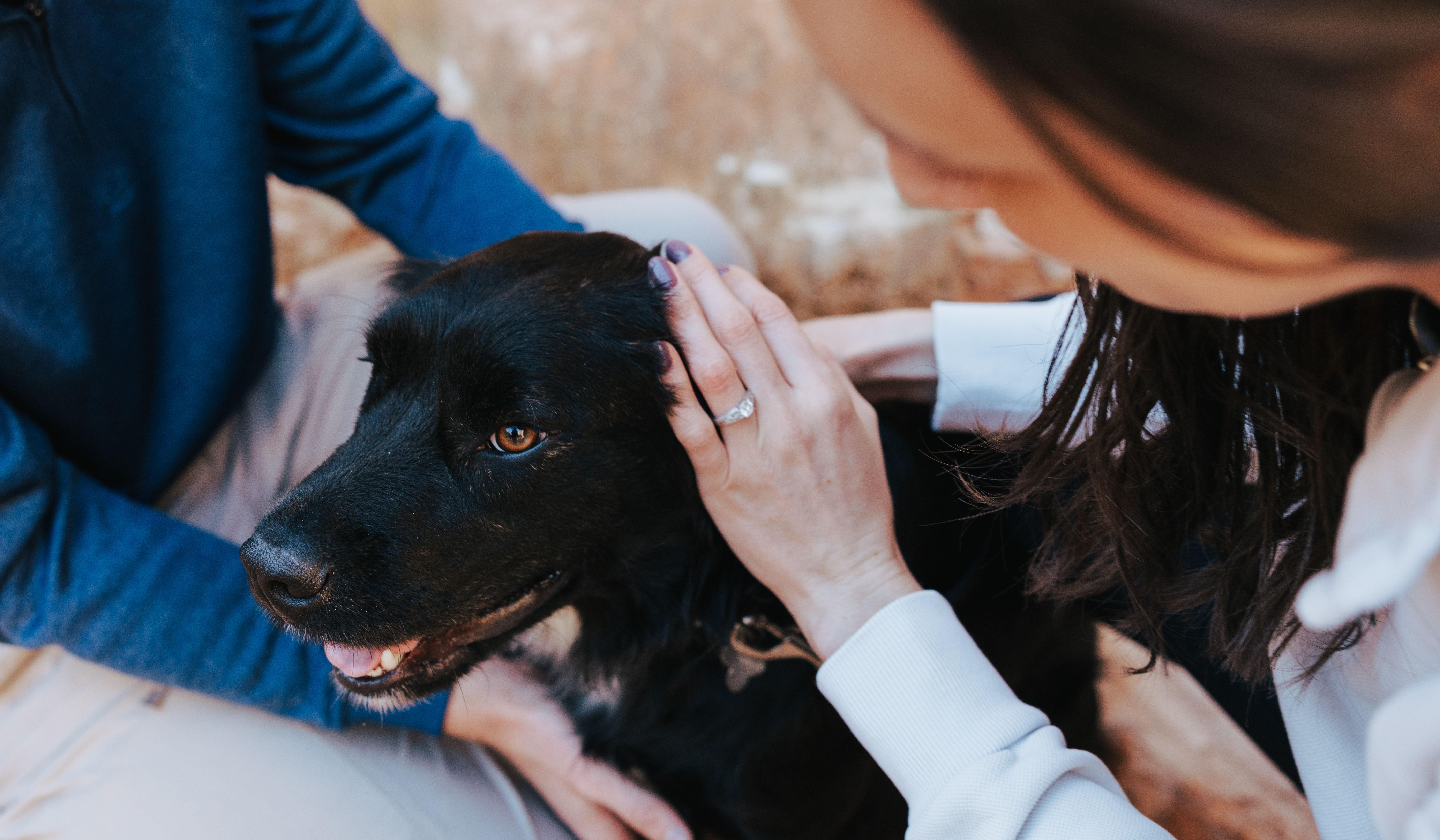 Hero Slideshow Image 2