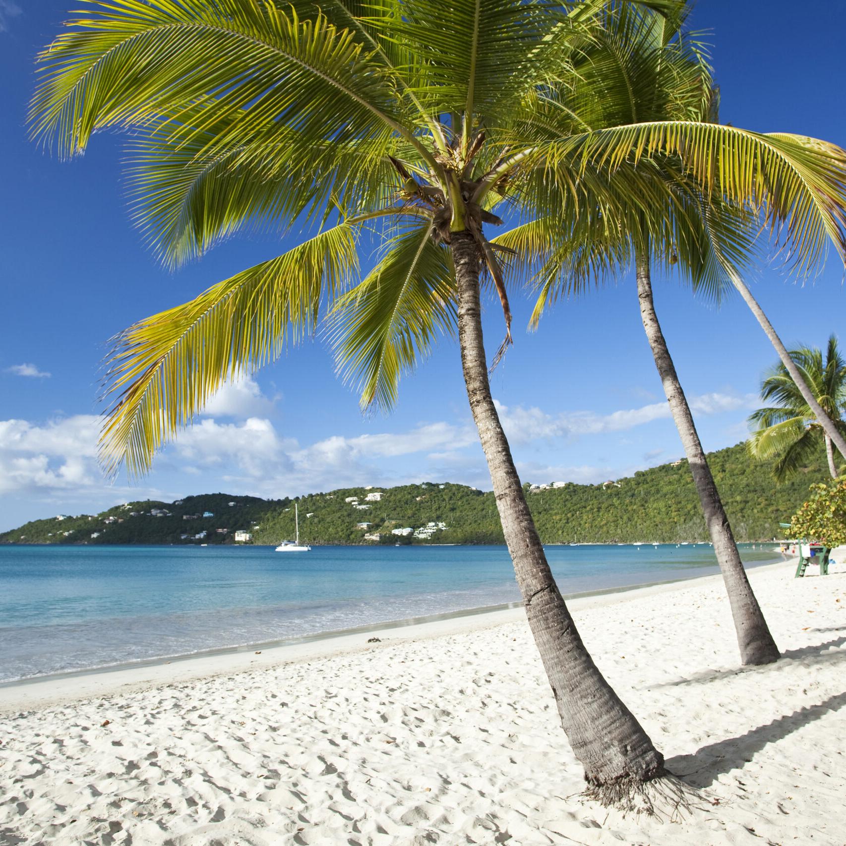 St Thomas Honeymoon Fund