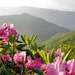 Craggy Gardens Visitor Center