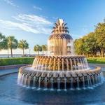 Pineapple Fountain