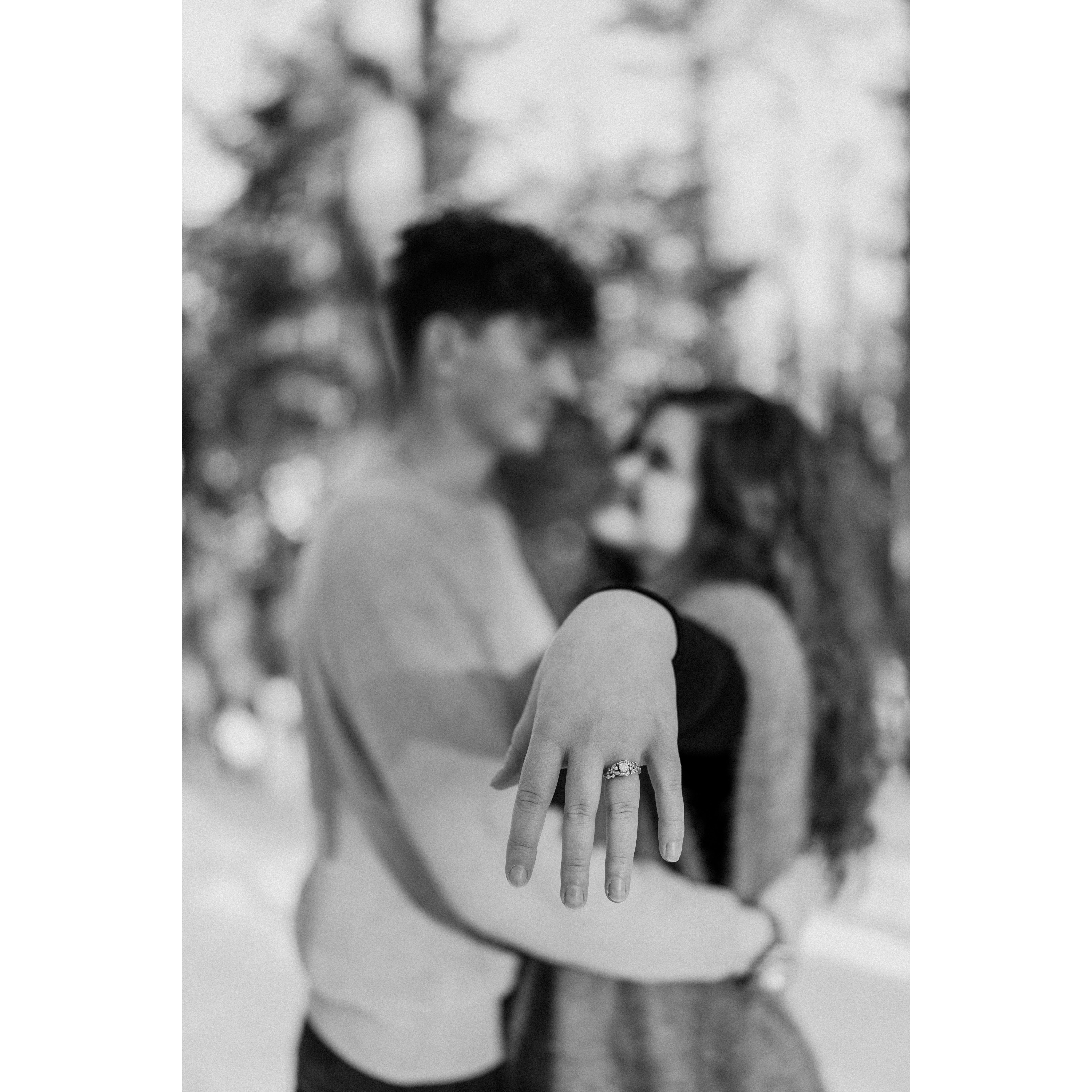 Engagement pictures at Vaughan Woods