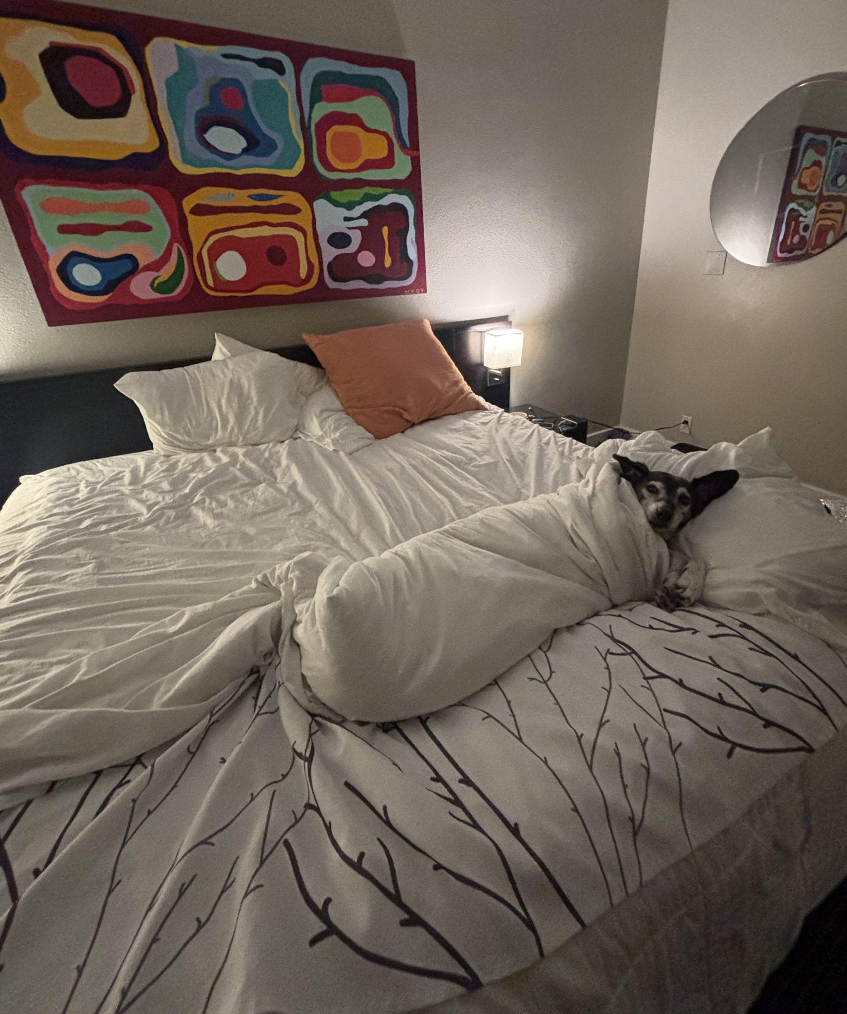 The Wedding Website of Amanda Timoney and Louis McConnell