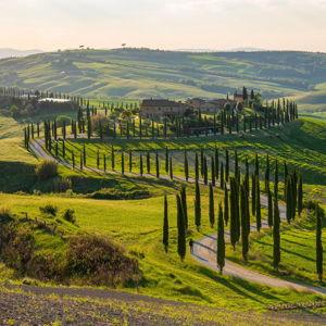 Wine Tasting in Tuscany