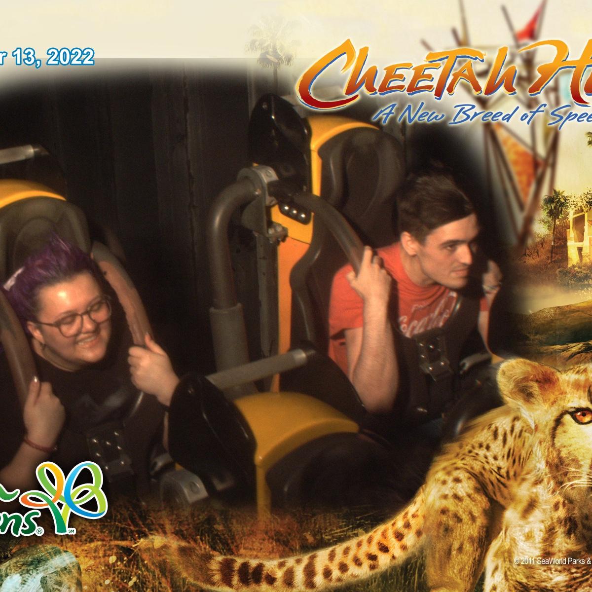 We love roller coasters