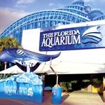 The Florida Aquarium