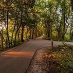 Constitution Trail