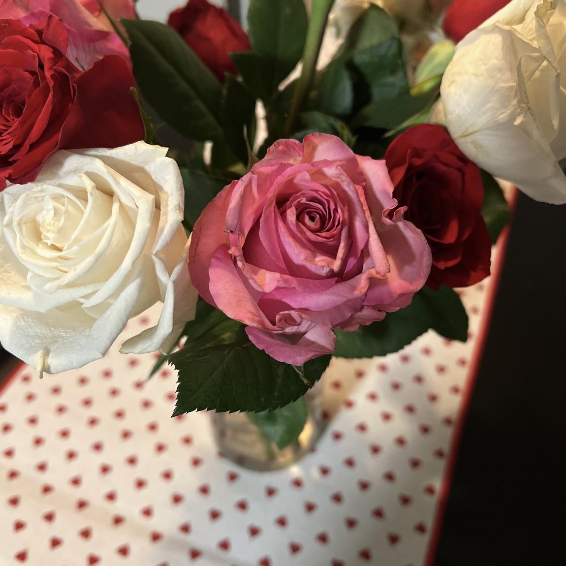 Dave gave Allison a beautiful bouquet of roses for Valentine's Day.