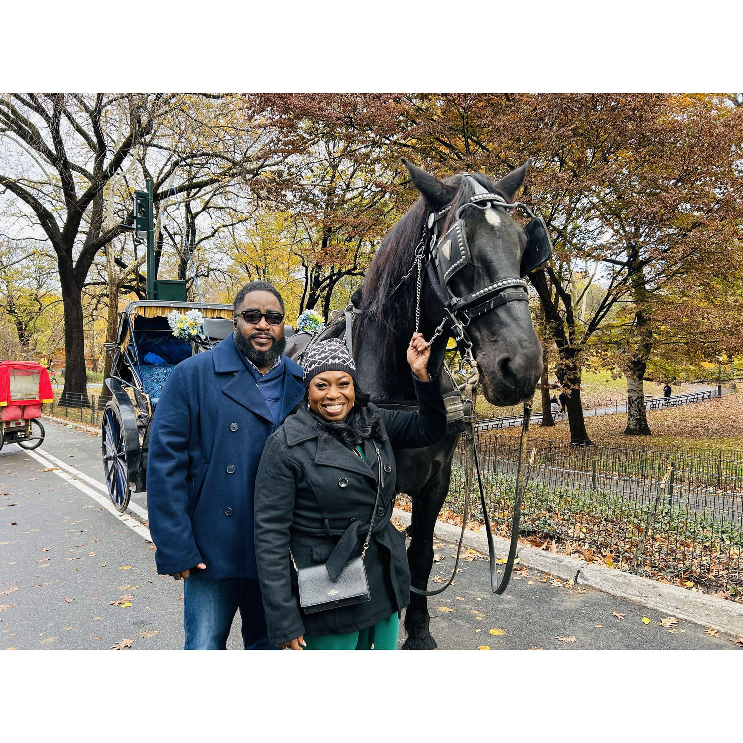 NYC - Carriage Ride through Central Park - Minutes before the surprise proposal - November 22, 2023