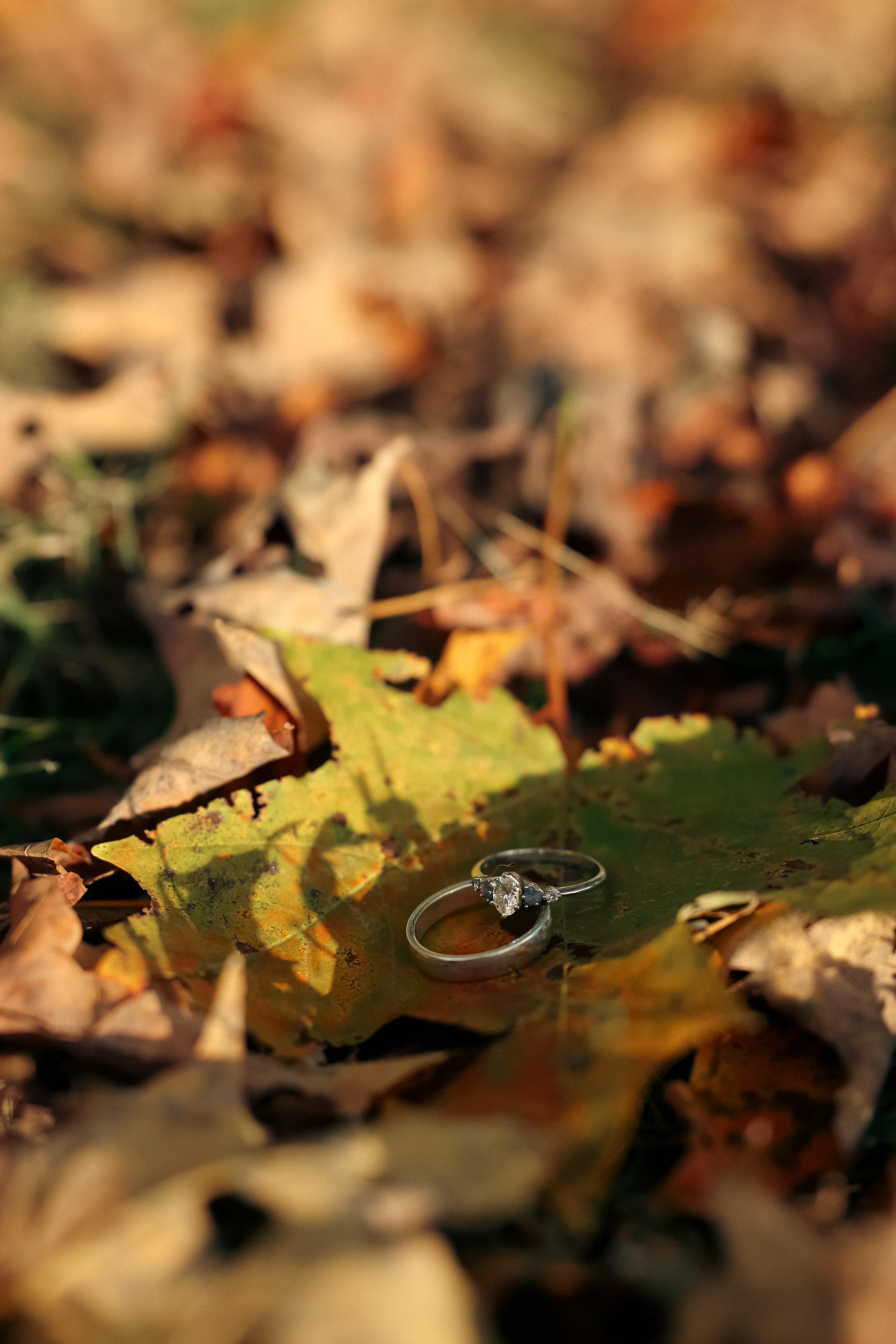 The Wedding Website of Natasha Chaparro and Valerie Pereyra