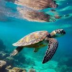 Akumal Dive Shop