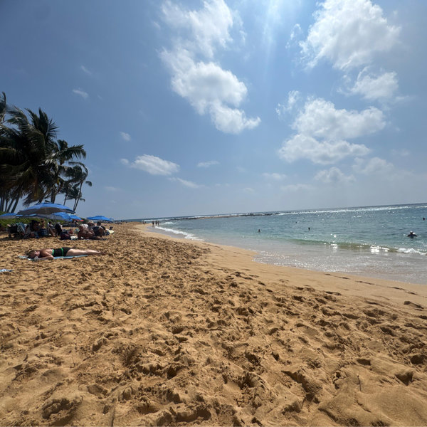 Honeymoon Fund- Oahu Hawaii