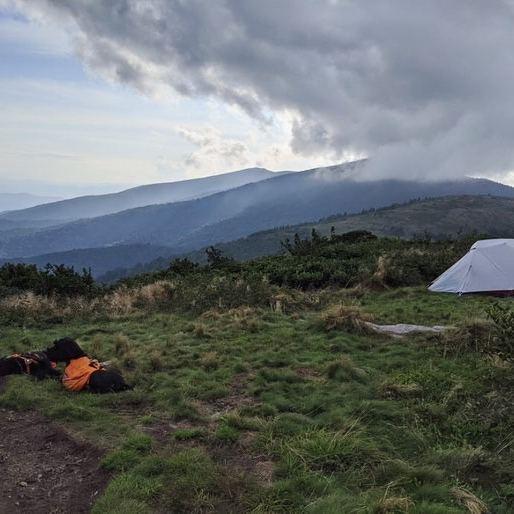Appalachian Trail Backpacking trip with Dogs