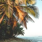 Rincón-the road to happiness