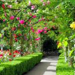 Cheekwood Estate and Gardens