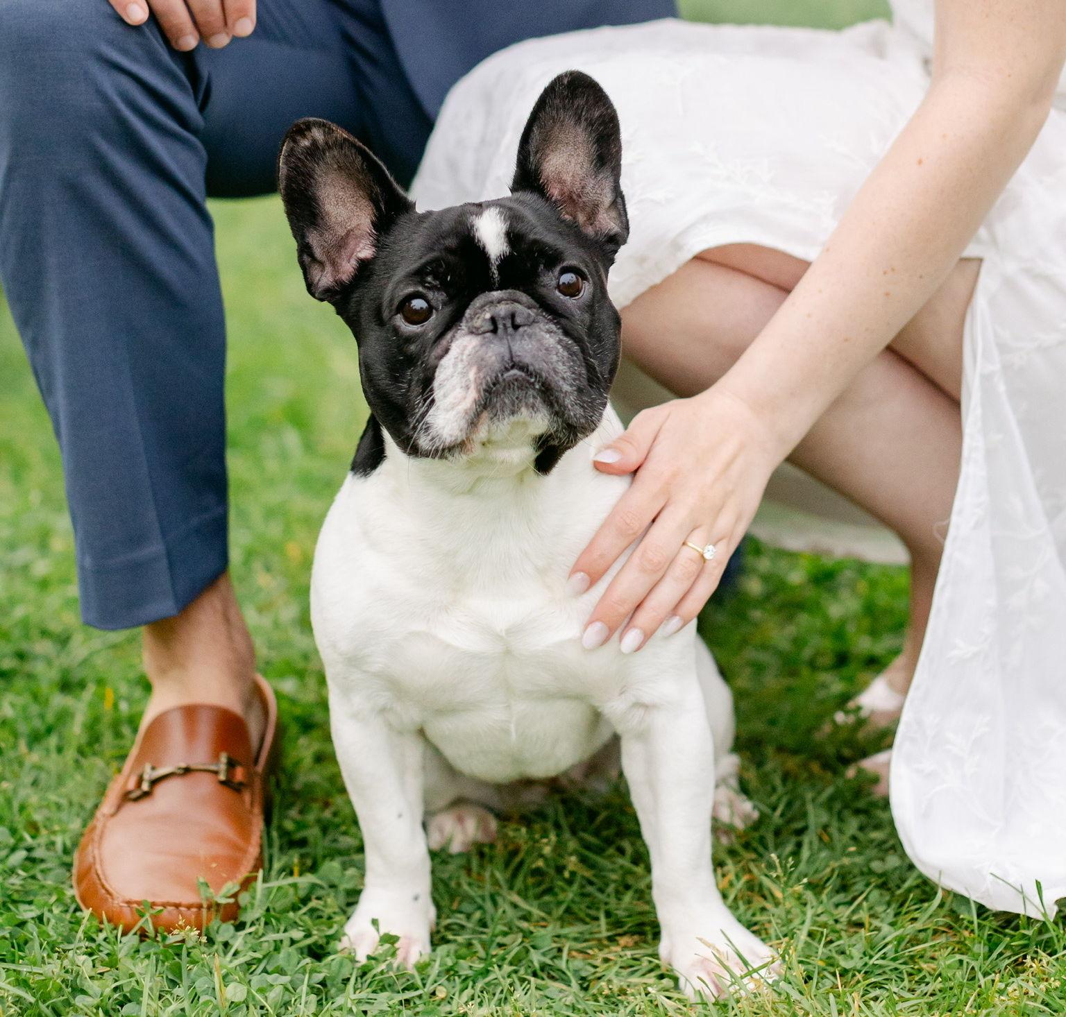 The Wedding Website of Jenna Berloni and Joshua MacNiven