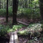 Ireland Brook Conservation Area