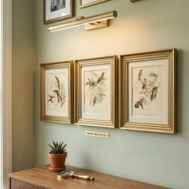 Set of 3 Vintage Framed John Gould Hummingbird Lithograph Reproductions | 7.5" x 9"