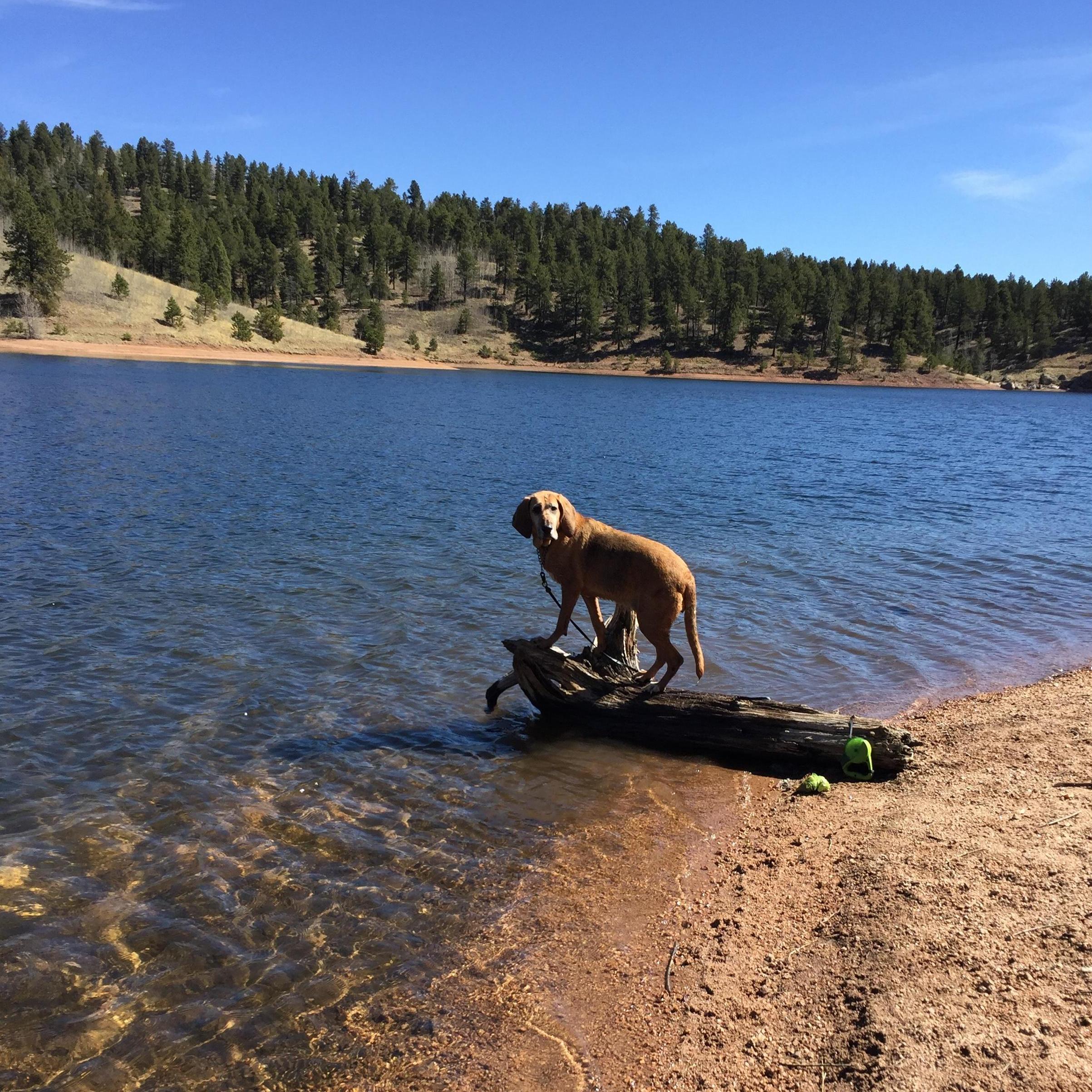 The worst fishing companion.