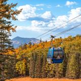 Snowbowl Scenic Gondola