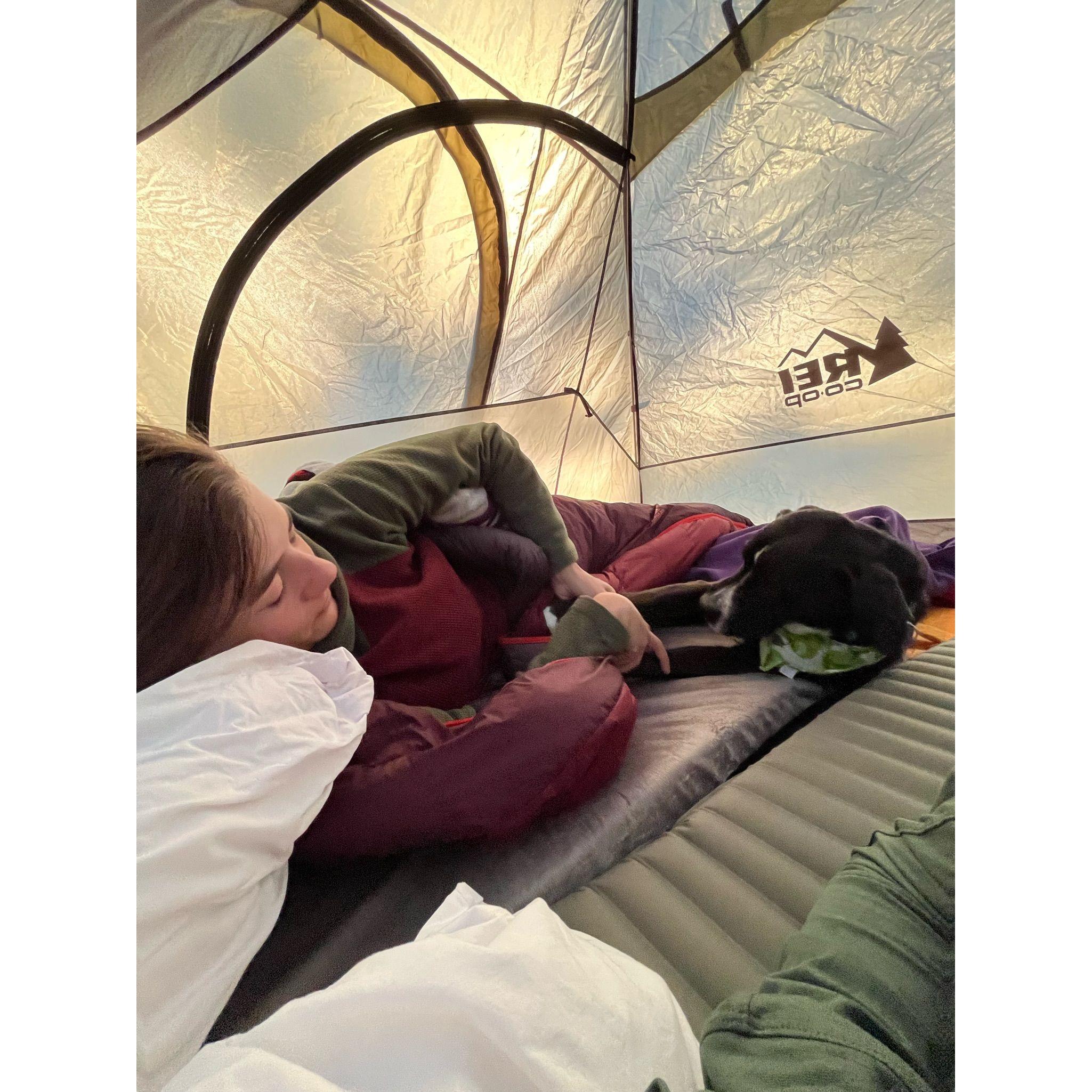 Couldn't tell ya where the dog obsession came from...