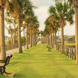 Pitt Street Bridge
