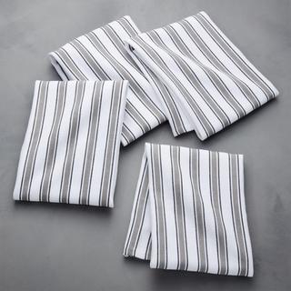Aster Stripe Dish Towel, Set of 4
