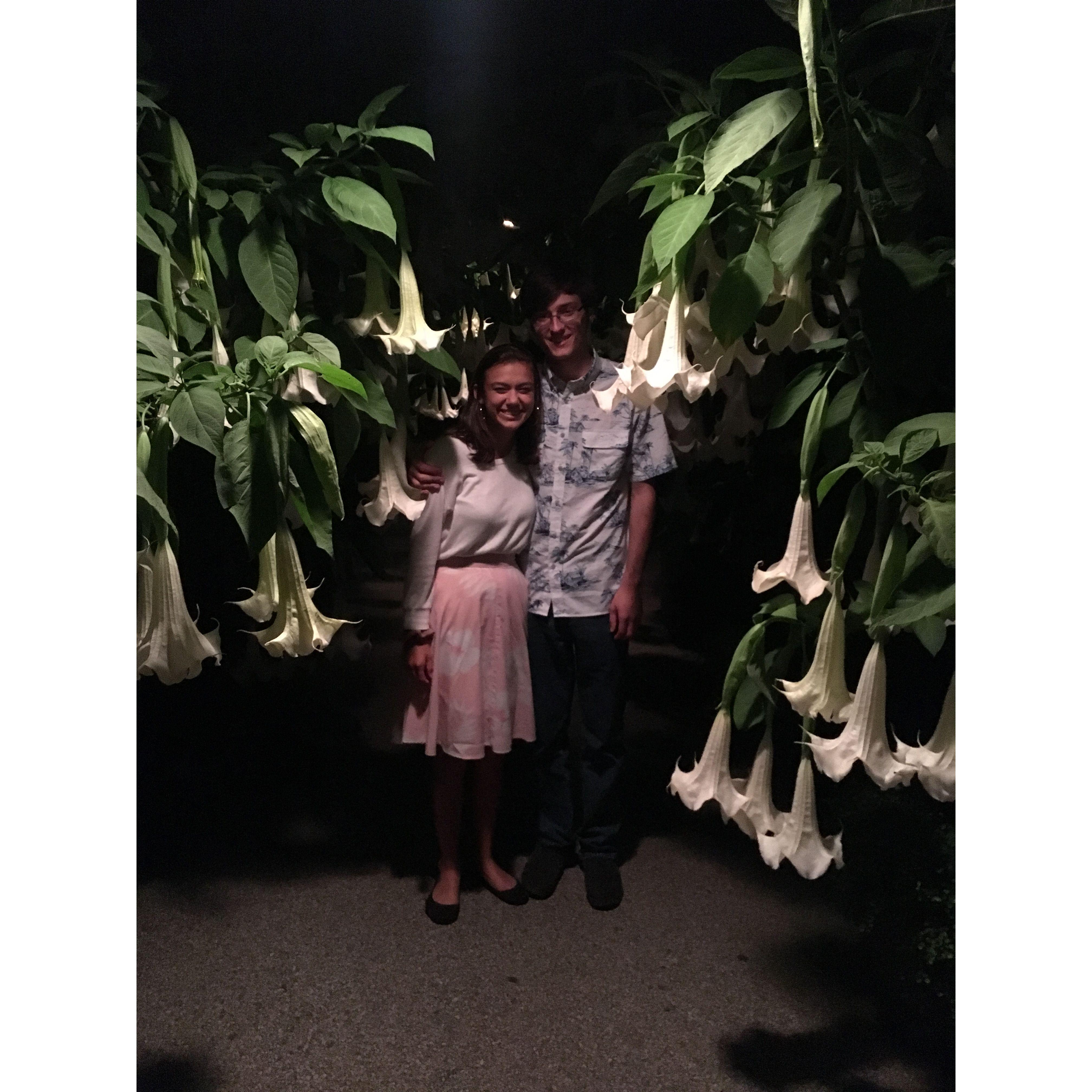 In a tunnel of Brugmansia flowers at Longwood Gardens, 2019
