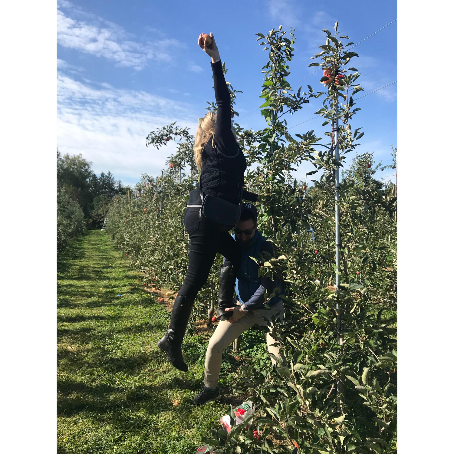 Apple picking in New England
September 2020