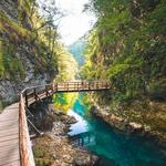 Hike Vintgar Gorge