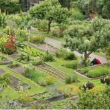 Stanford Inn Gardens (Allie works here!!!)