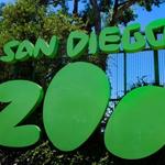 San Diego Zoo/ Balboa Park