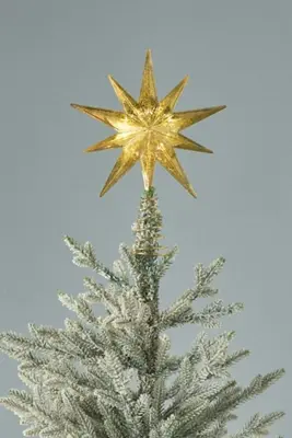 Bright Star Tree Topper