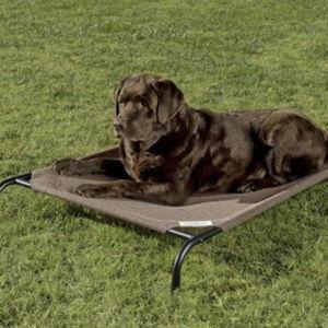 Coolaroo Steel-Framed Elevated Dog Bed