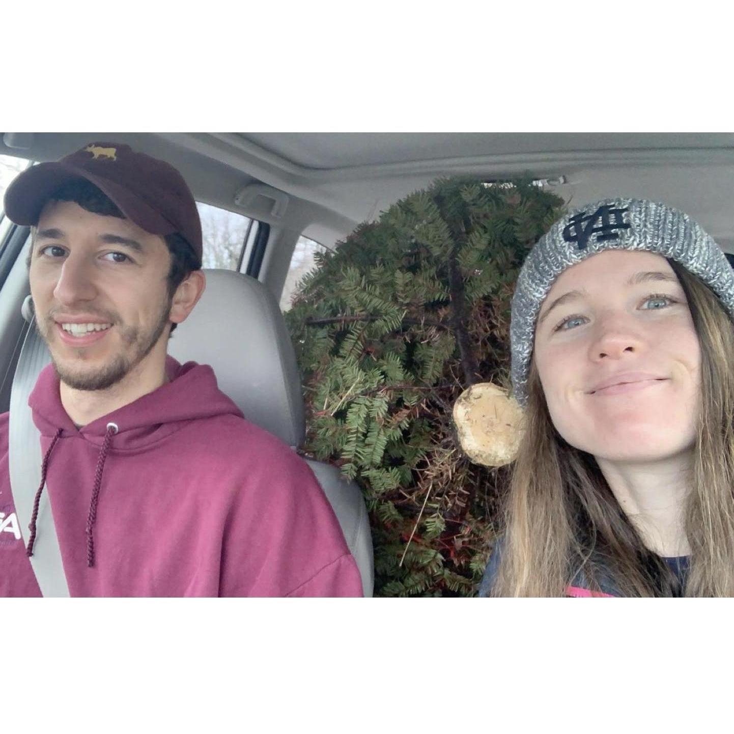 Our first Christmas tree! If you know Mark, you probably knows that he LOVES Christmas, so this was a big day for us!