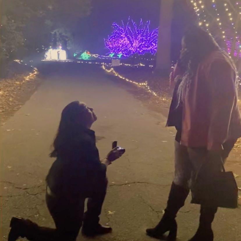 Will you marry me? at Norfolk Botanical Gardens on December 16, 2023