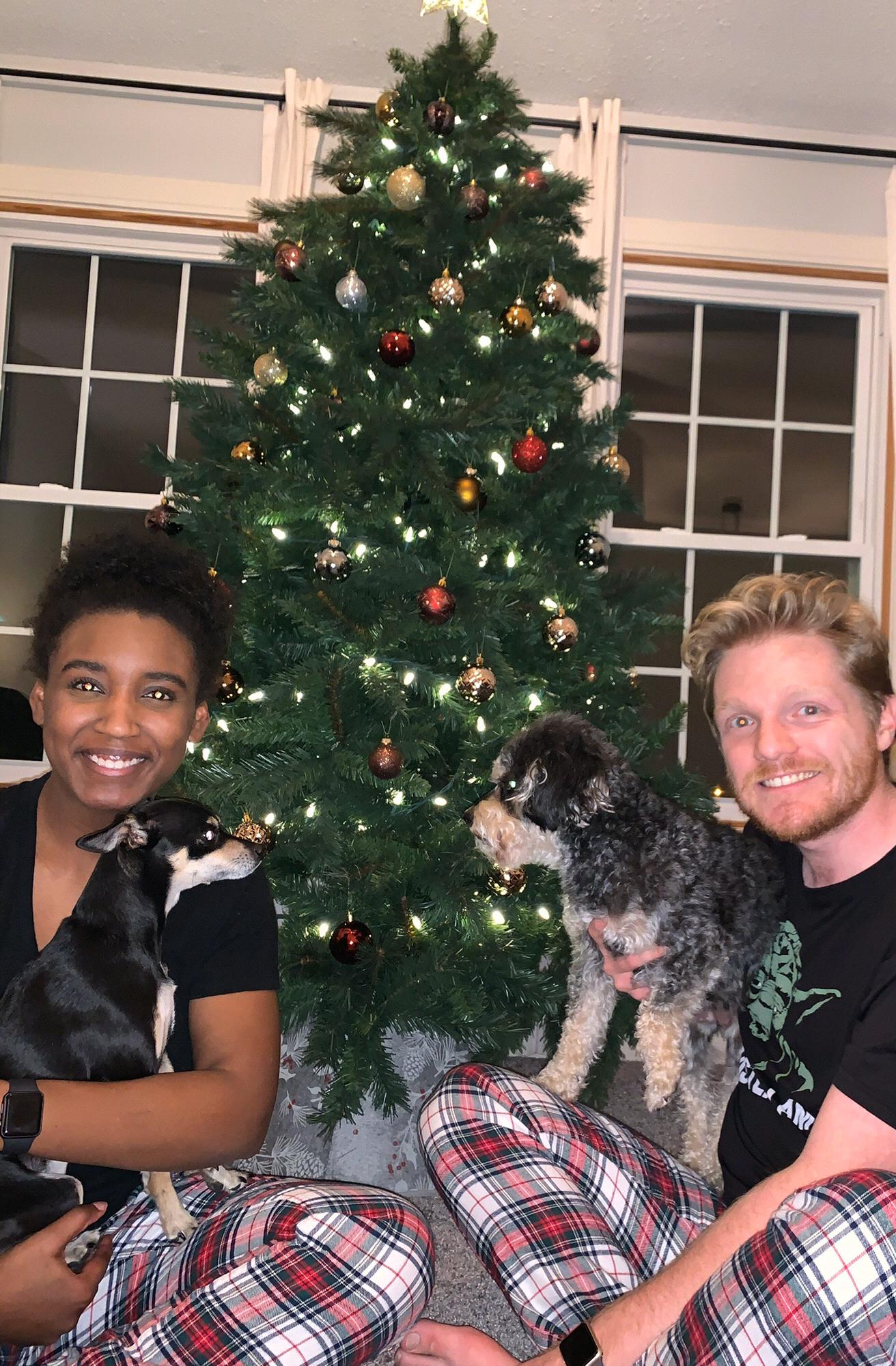 First Christmas in our new house!