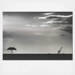 Giraffe on the Horizon Wall Art