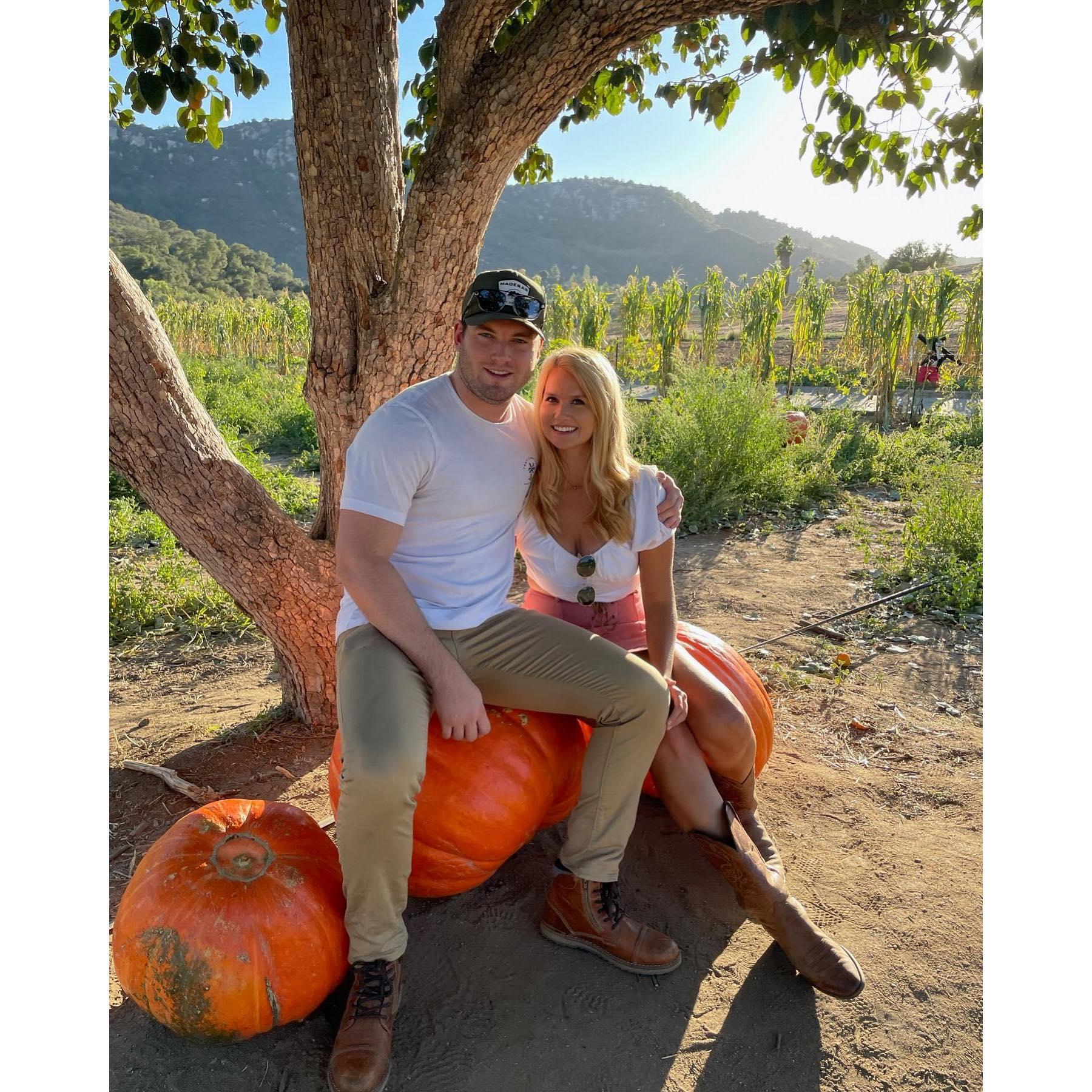 2022 Pumpkin Patch