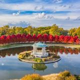 Forest Park