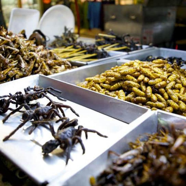 Help Madison try questionable Thai cuisine