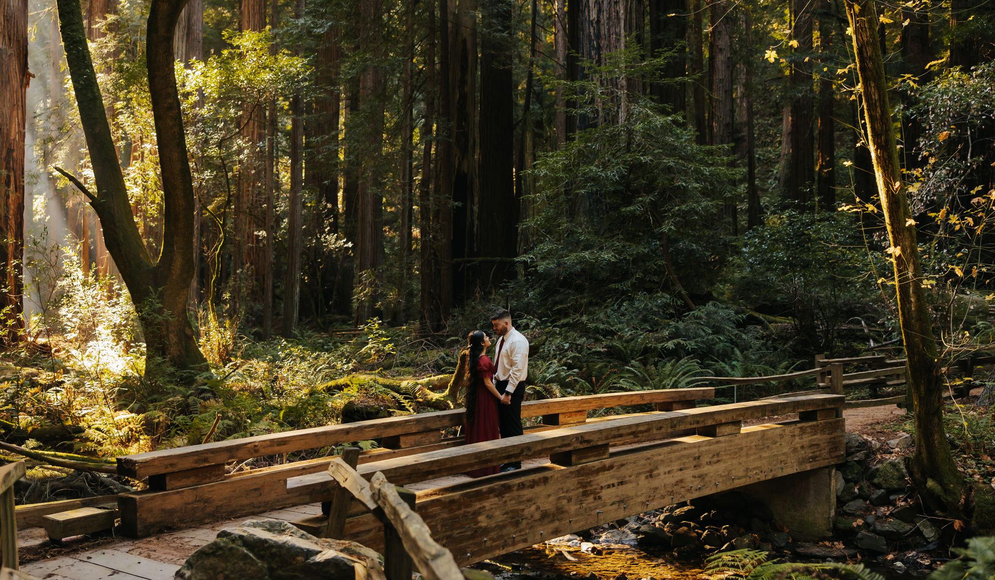 Hero Slideshow Image 0