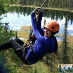 Denali Zipline Tours