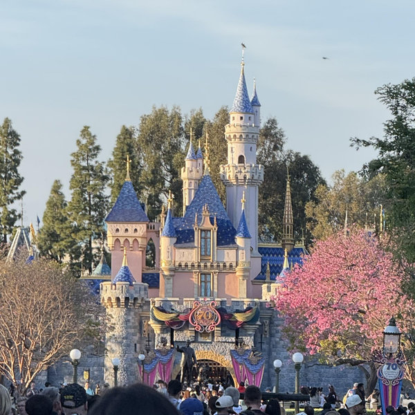 Disneyland Fund